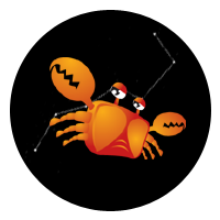 ���ڸ� ���ڸ��/ �����ǿ/ �