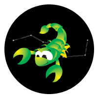 �����ڸ� ���ڸ��/ �����ǿ/ �